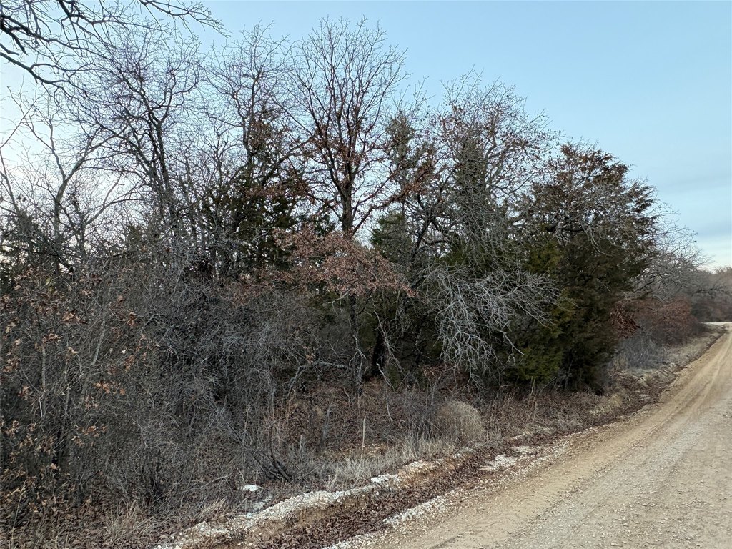 Picture 5