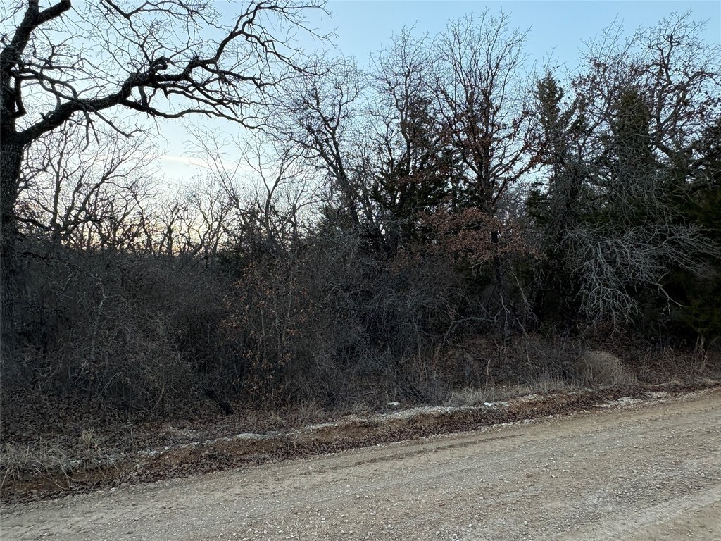 Picture 6