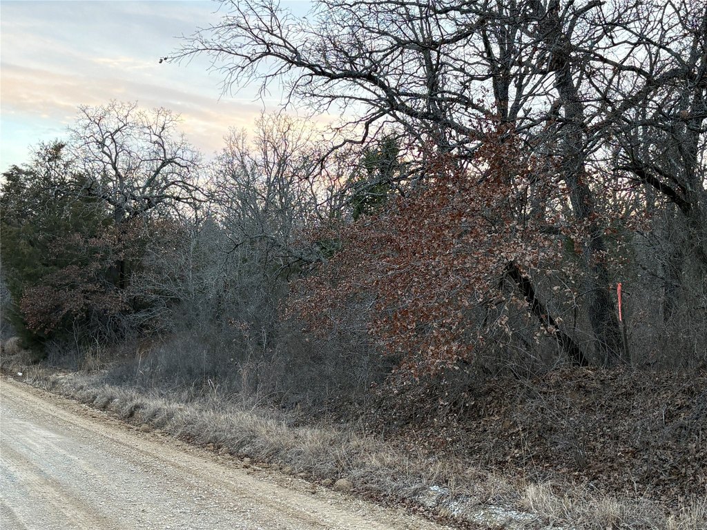 Picture 3