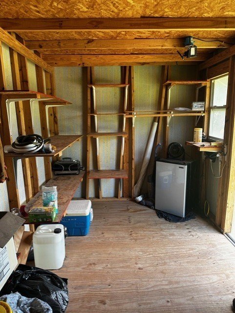 Picture 6