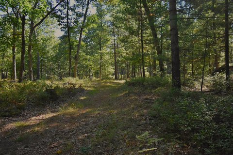 Land, Baldwin, MI