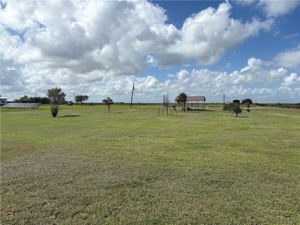 Picture 15