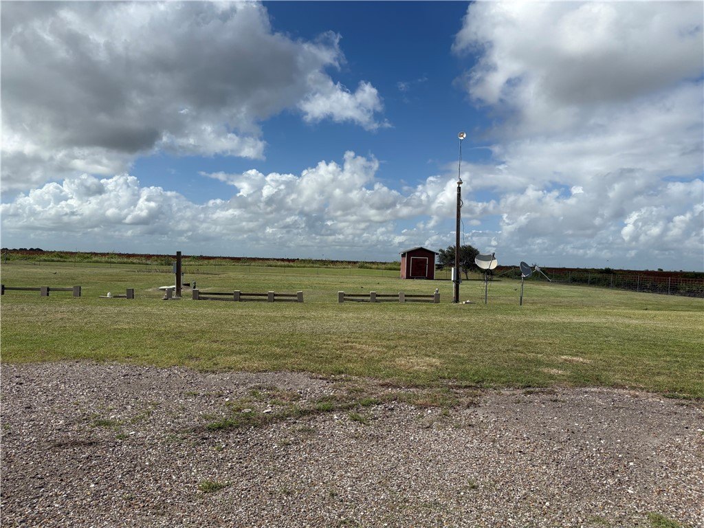 Picture 12