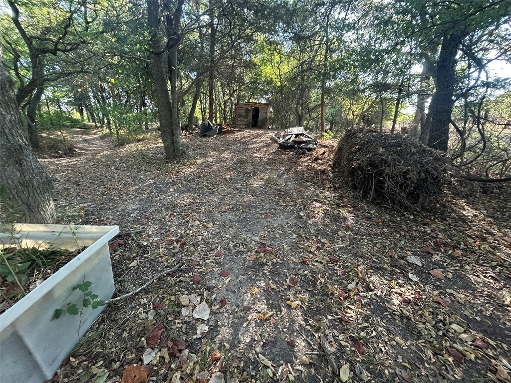 Picture 24