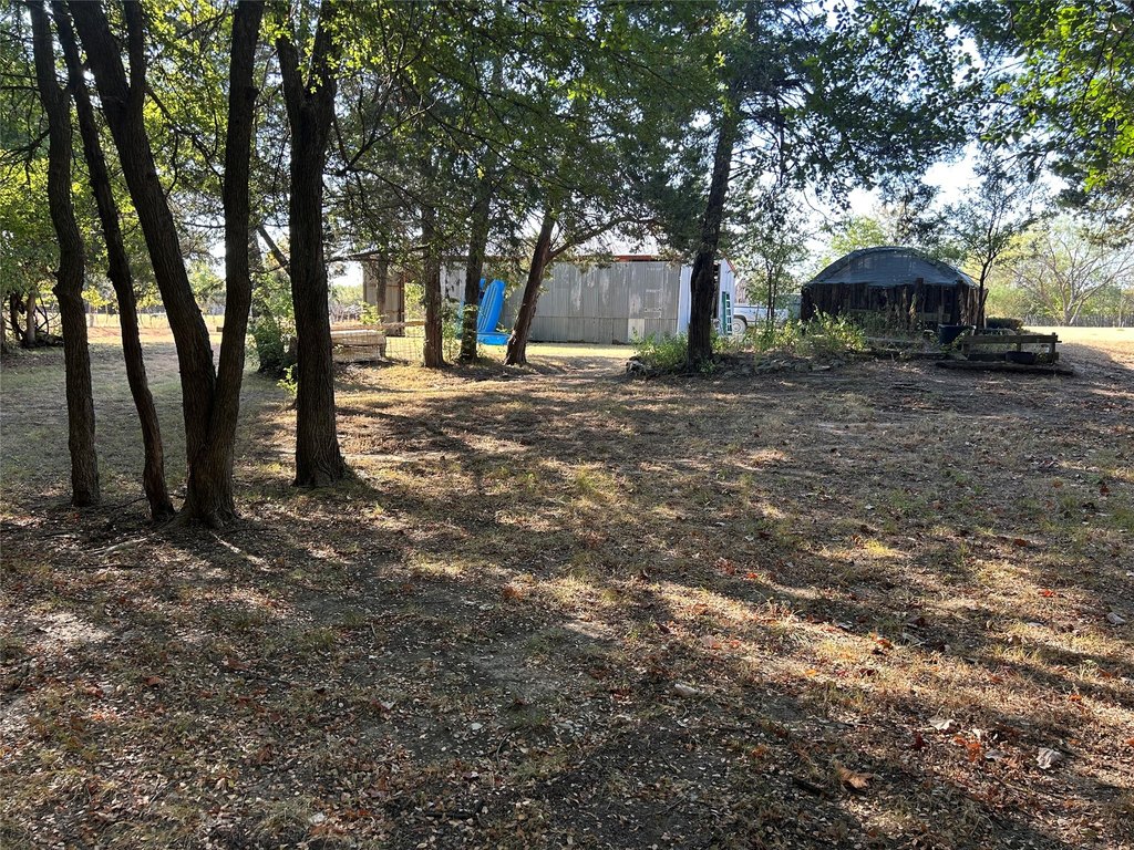 Picture 23