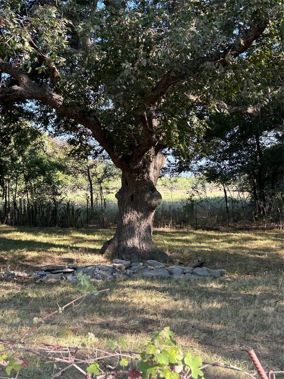 Picture 16