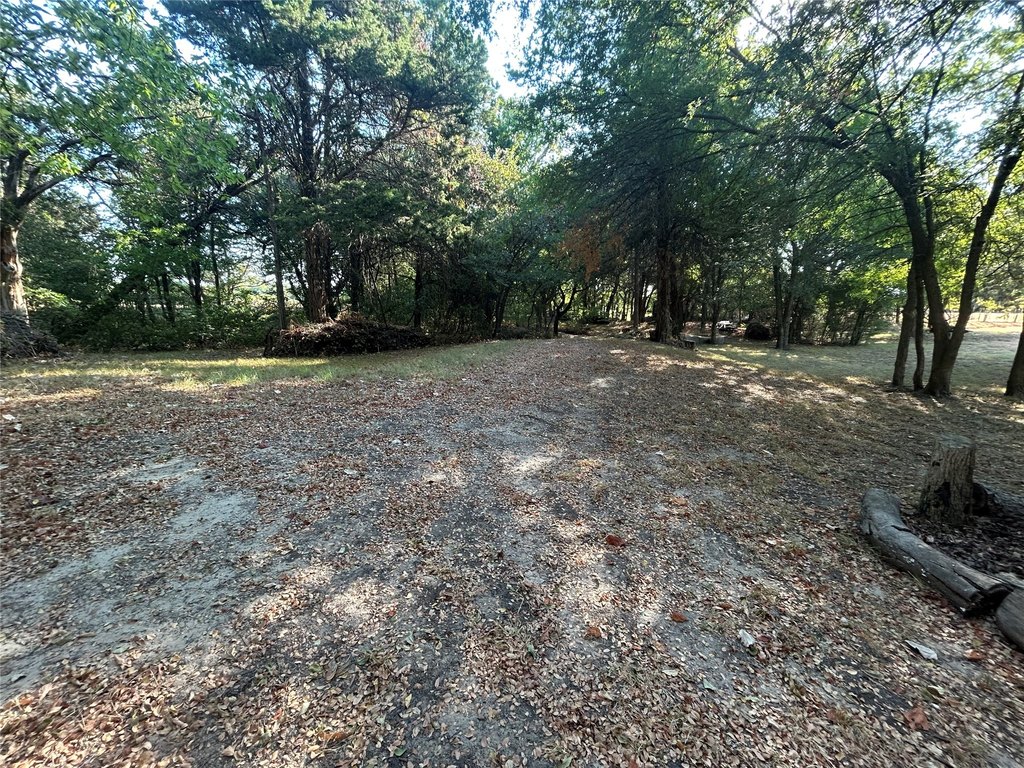 Picture 22