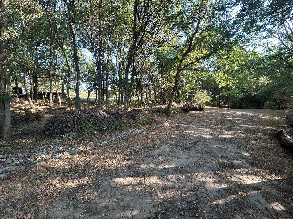 Picture 21