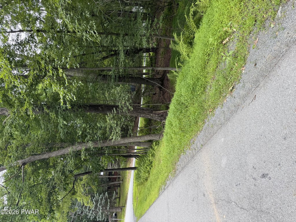 Picture 4