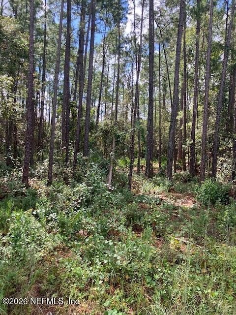Picture 4