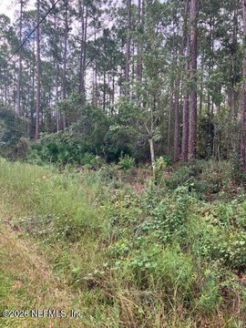 Land, Bunnell, FL