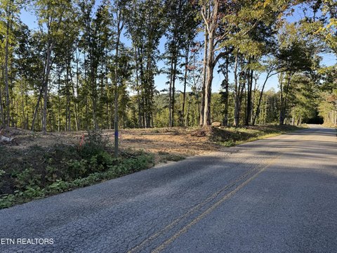 Lots & Acreage, Wilder, TN