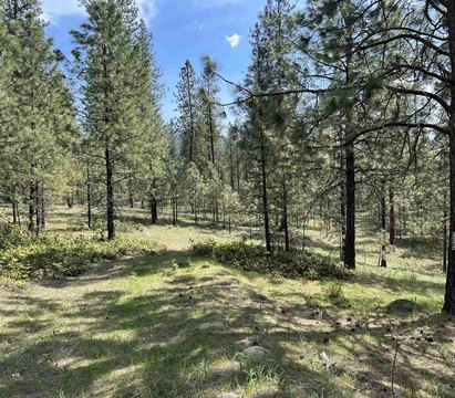 Kettle Falls Treed Acreage