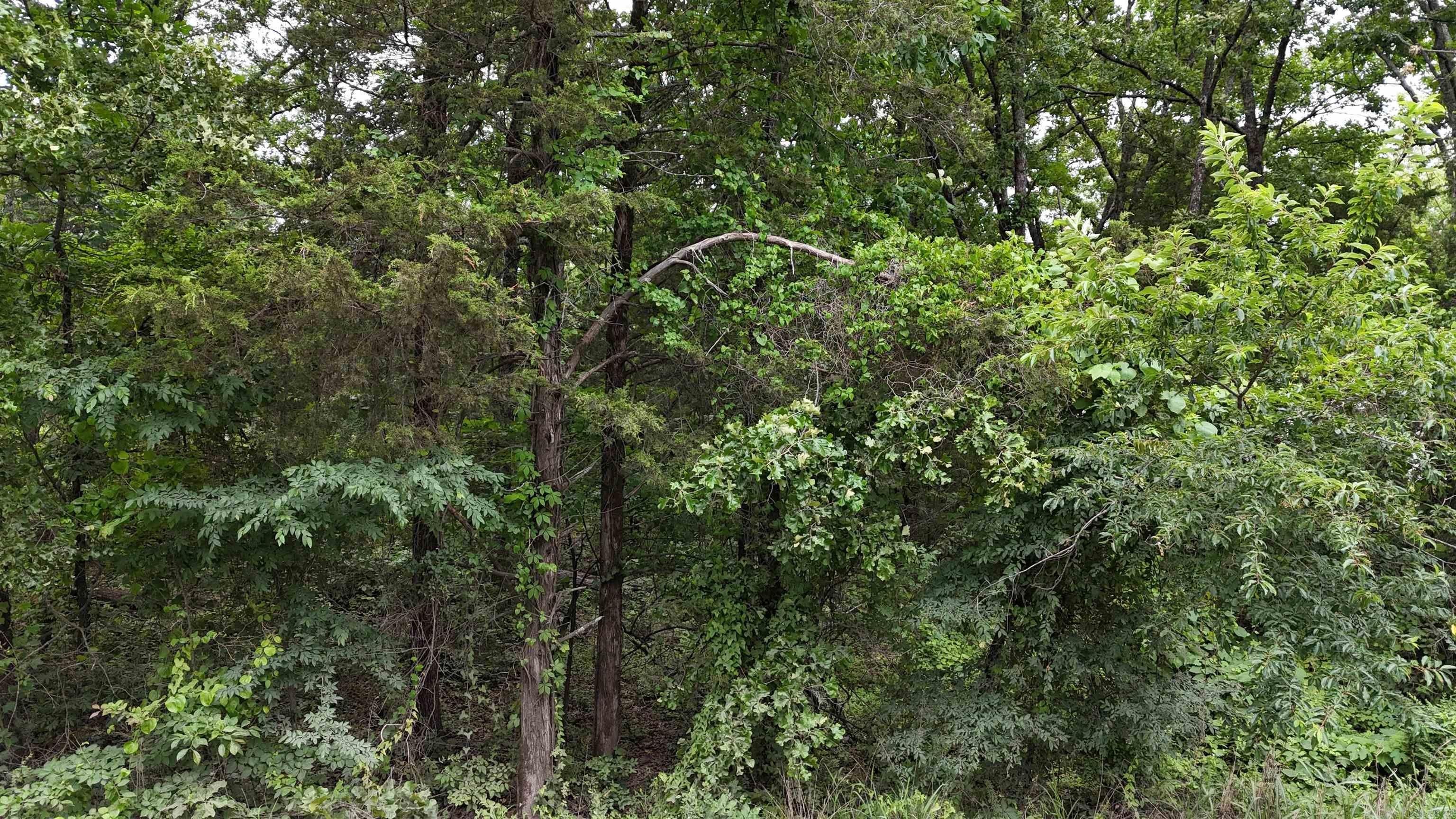 21.89 Acres in Cleveland, AR