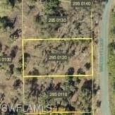 Residential Land in Lehigh Acres