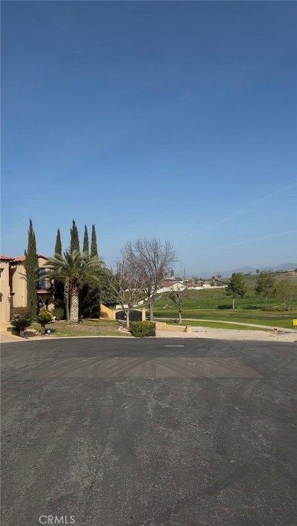 Picture 12