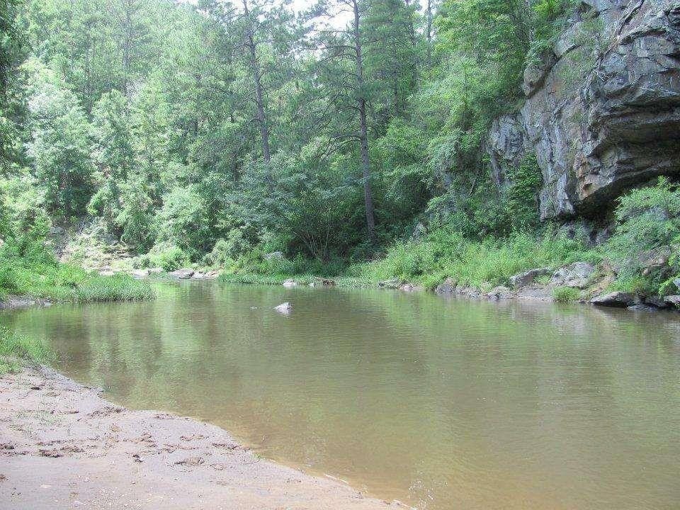 Picture 14
