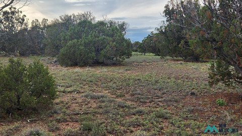 Land, Quemado, NM