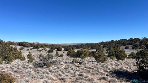 Land, Quemado, NM