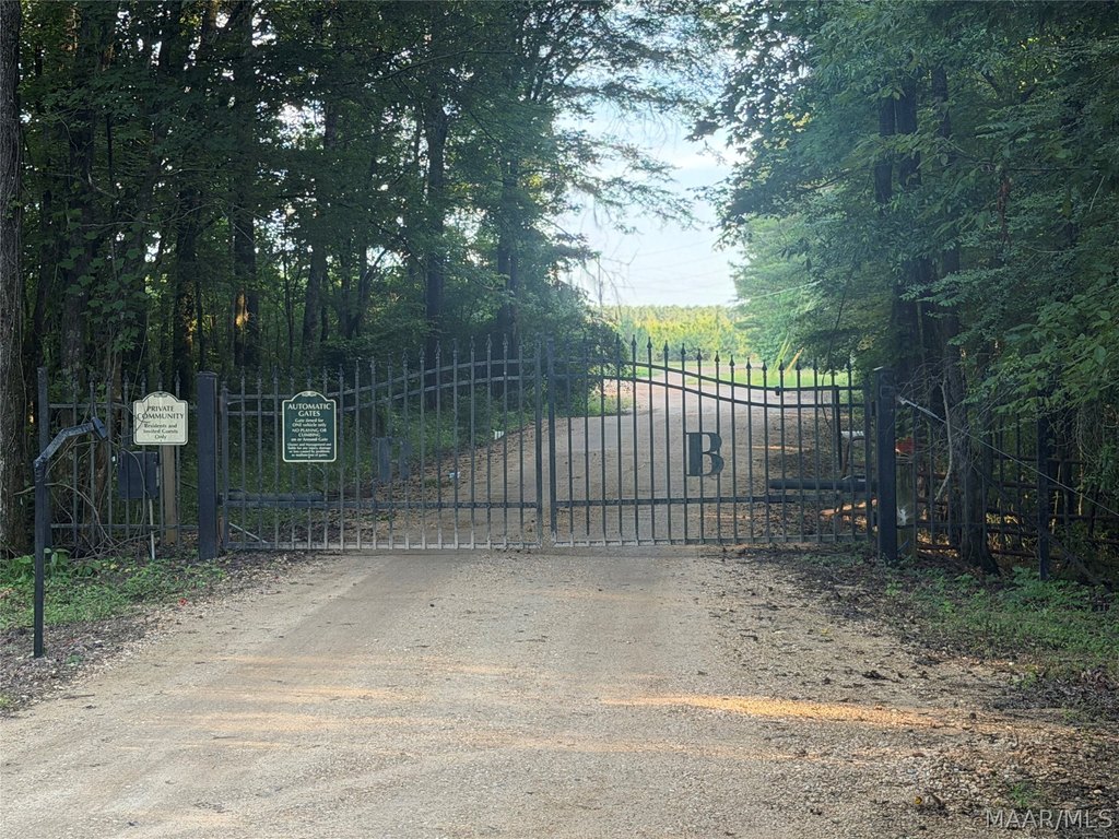 Picture 11