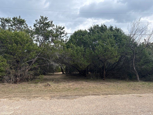 Picture 5