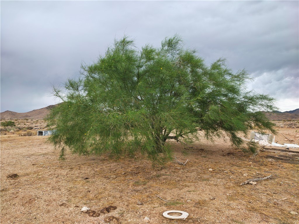 Picture 9