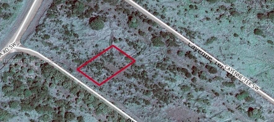Vacant Lot Near Beach