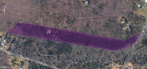Residential Development & Hunting Land