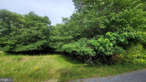 Land, CENTREVILLE, MD