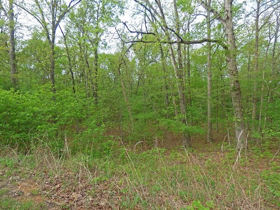 Picture 4