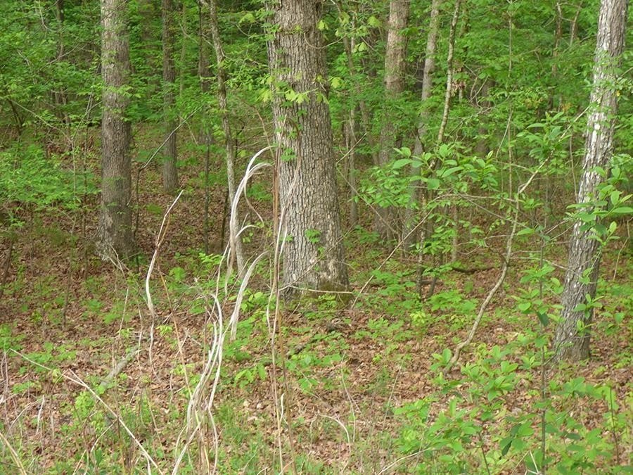 Picture 2