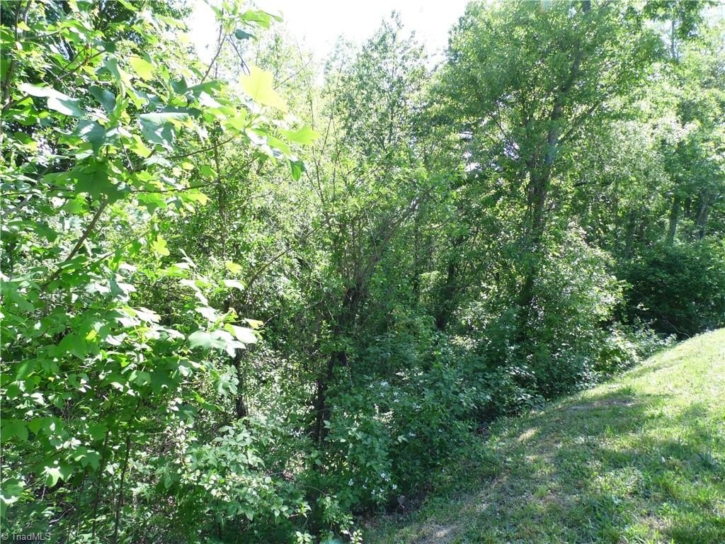 Picture 7