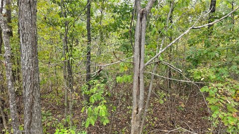 Land, Versailles, MO