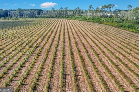 Baxley, GA Estate Tract Land