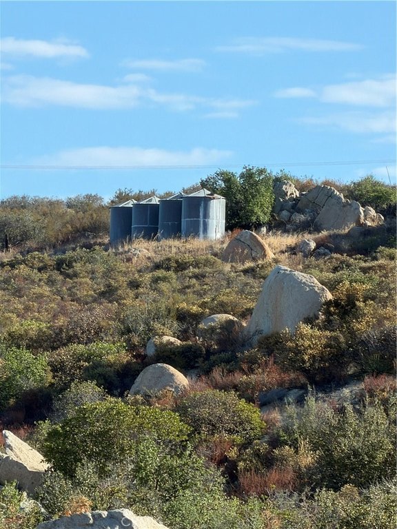 Picture 18
