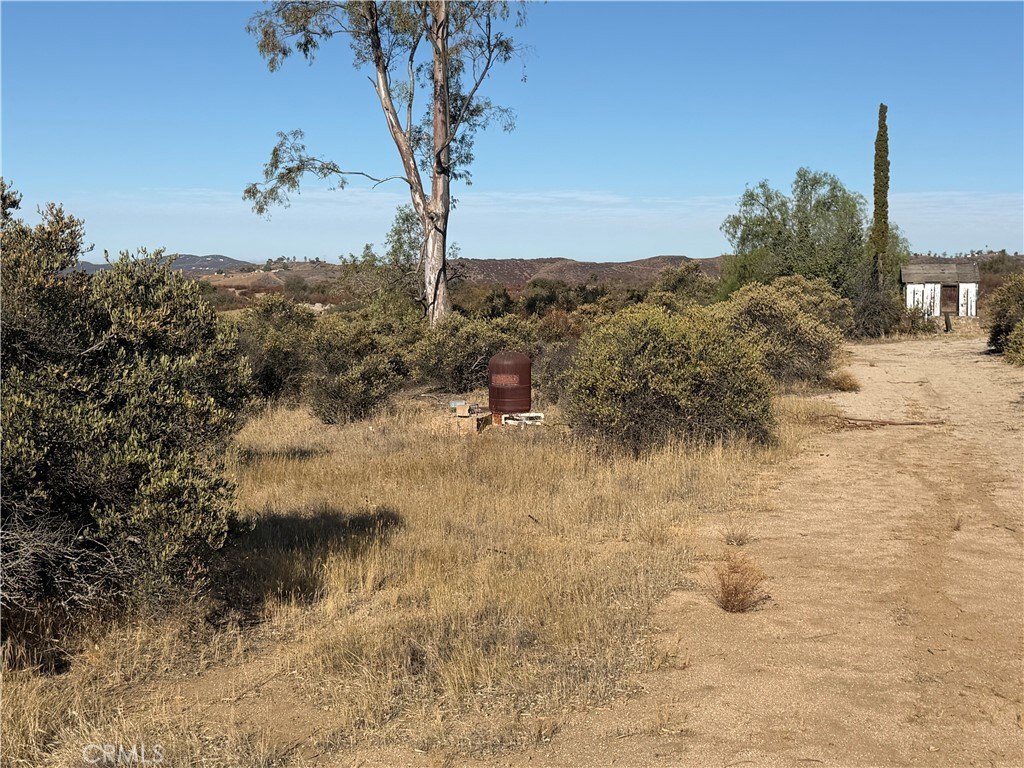 Picture 15