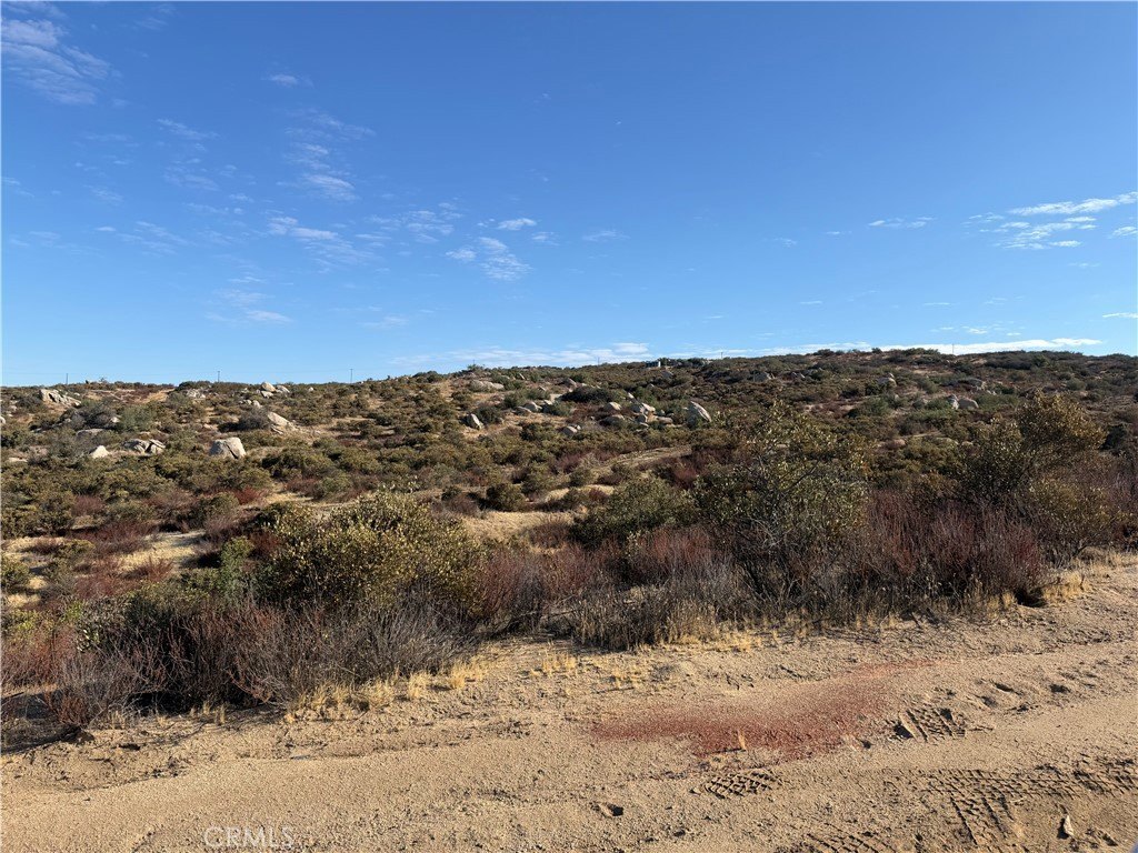 Picture 16