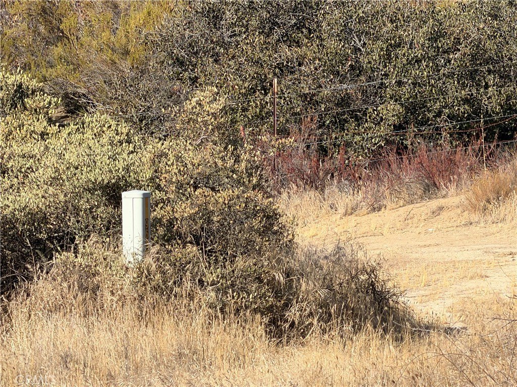 Picture 10
