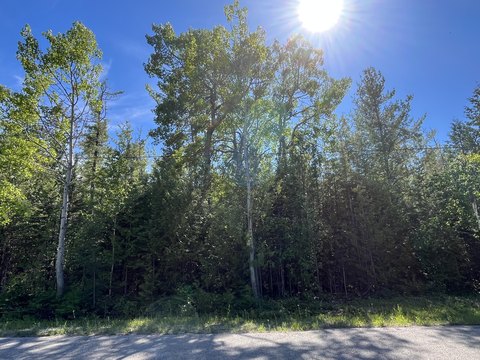 Wooded Double Lot in Association