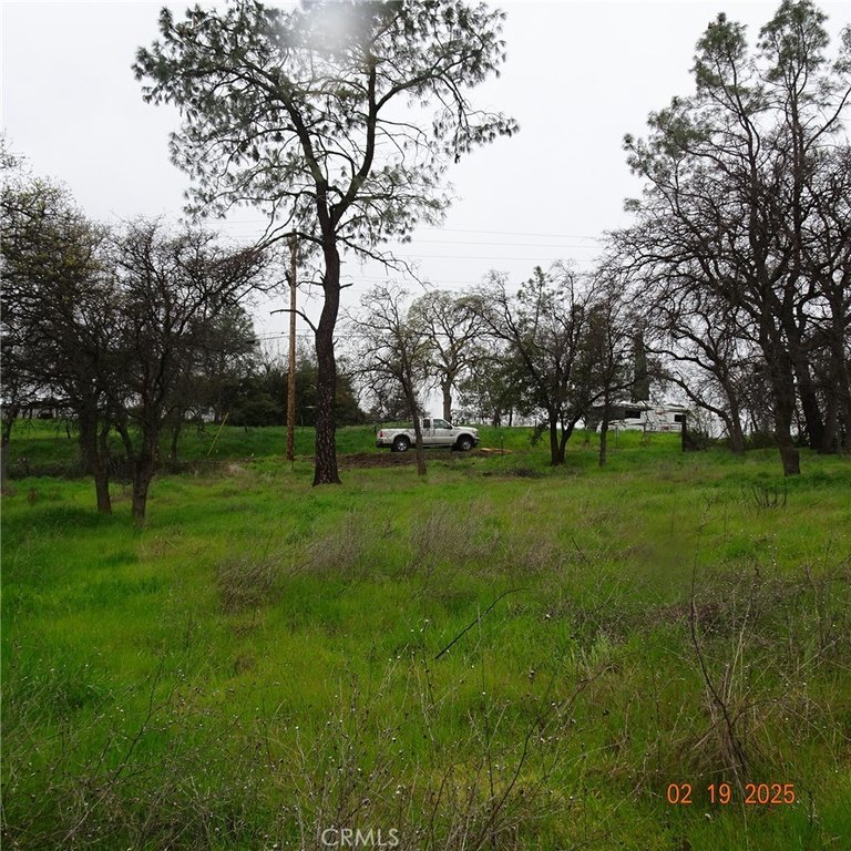 Picture 8