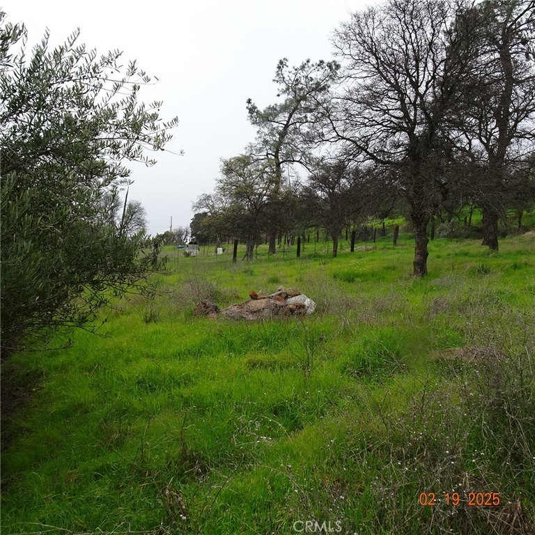 Picture 5