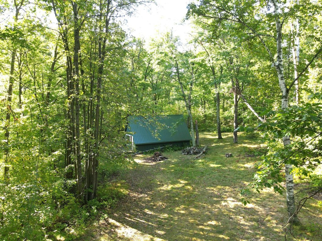 Picture 19