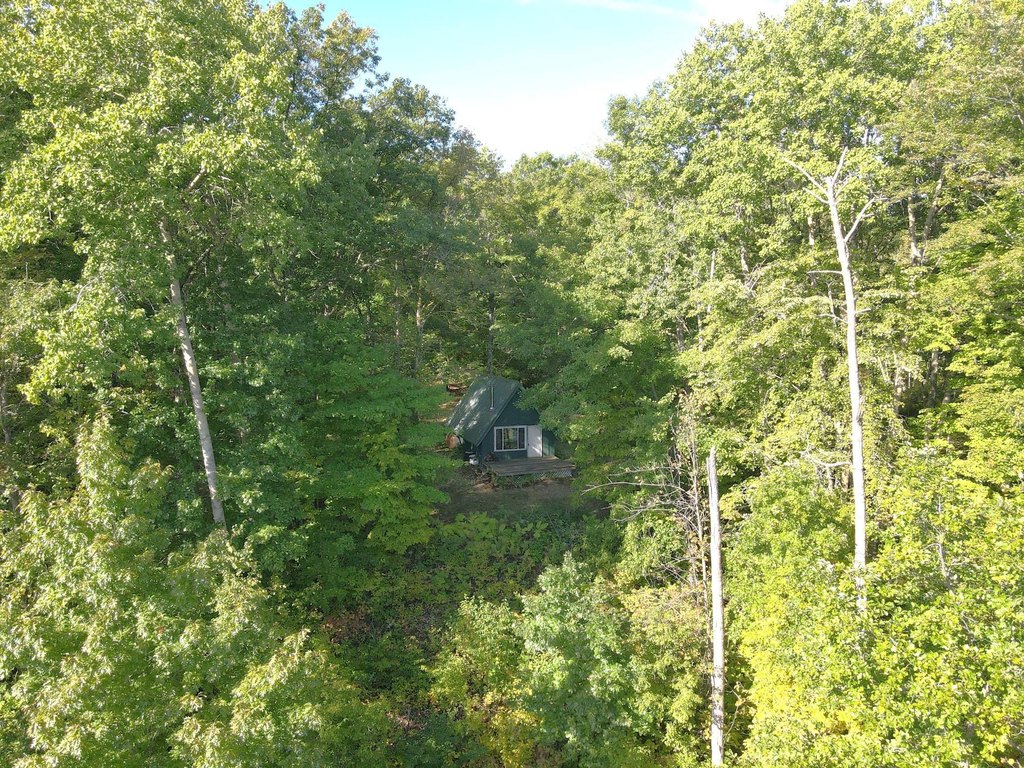 Picture 23
