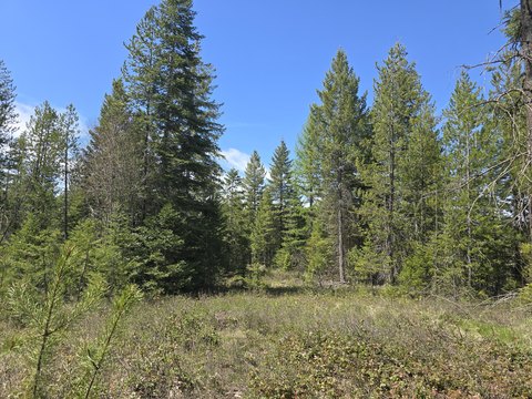 Recreation Land Development Parcel
