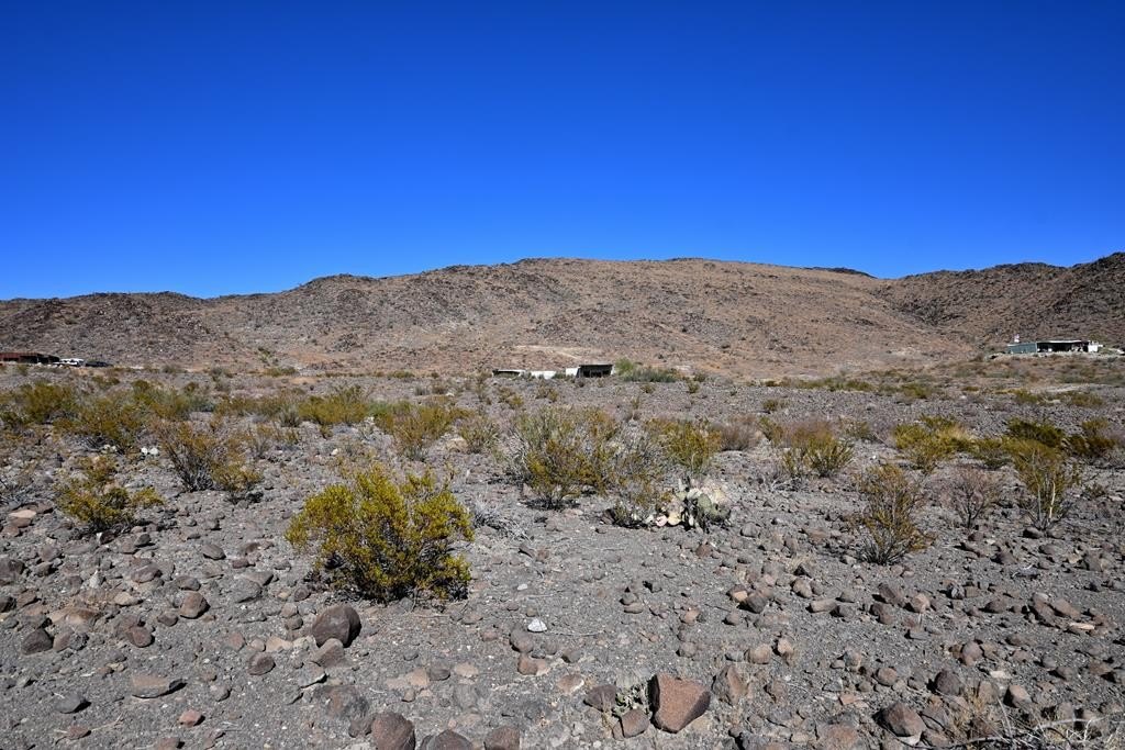 Picture 21