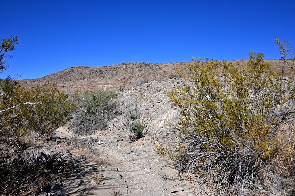 Picture 23