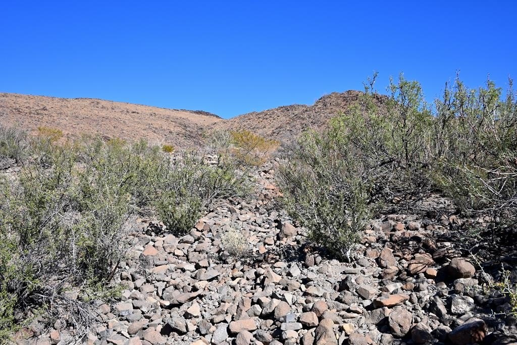 Picture 19