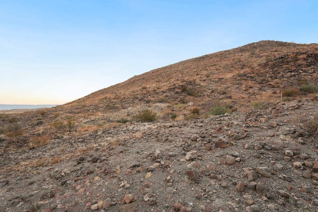 Picture 18