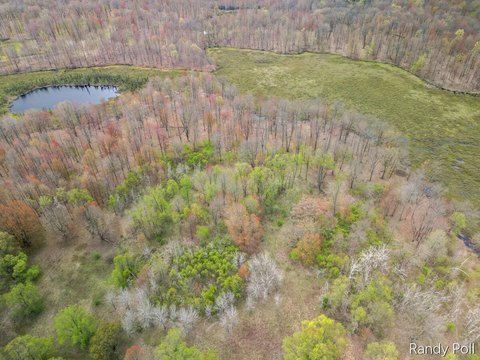 Recreational Land with Wildlife