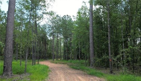 Residential Land in Independence, LA